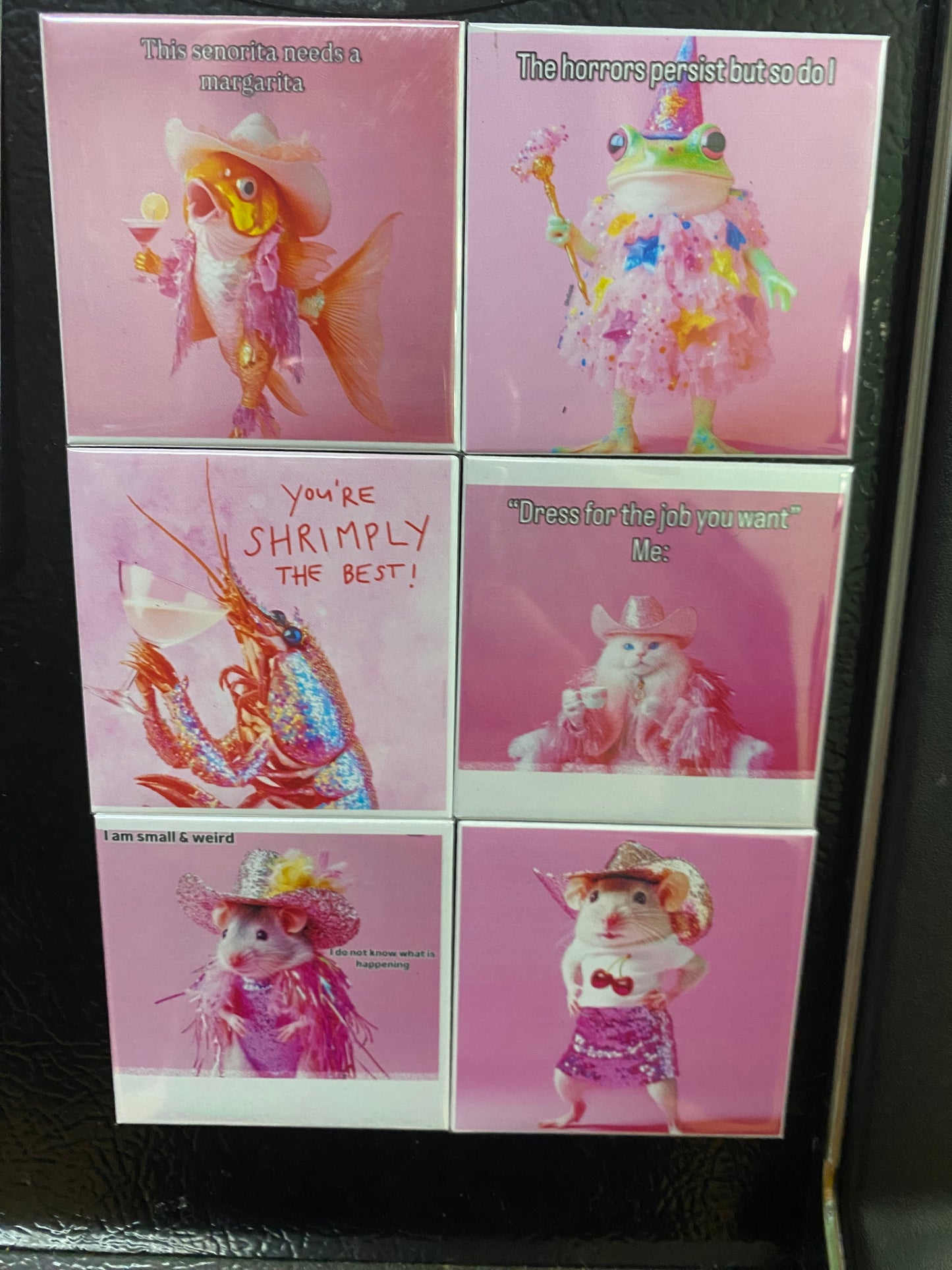 Custom Photo Magnets (Pack of 6)