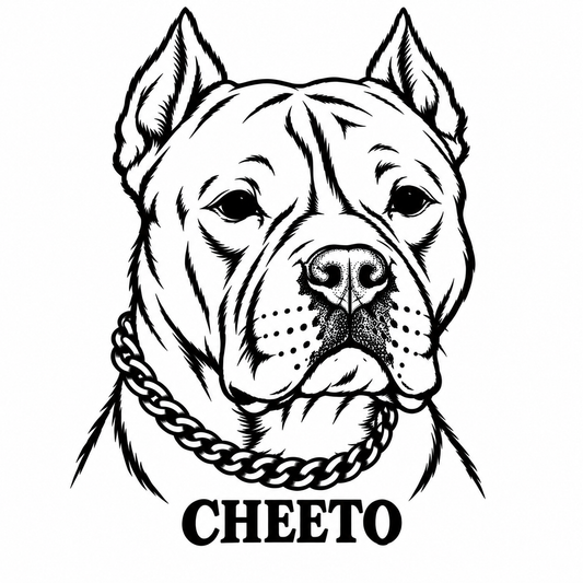 Cheeto Deposit